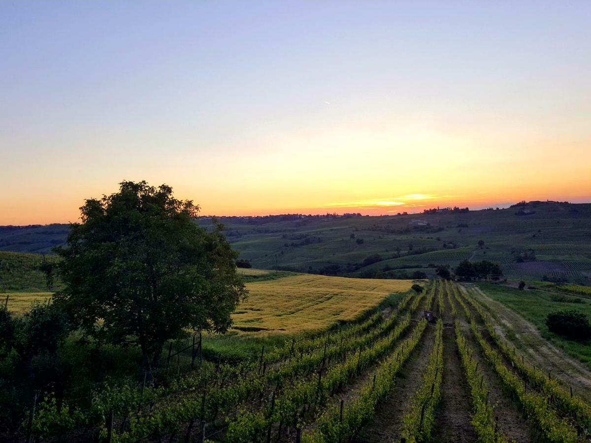 San Damiano al Colle La Terrazza Sui Vigneti-Rovescala Bed & Breakfast エクステリア 写真