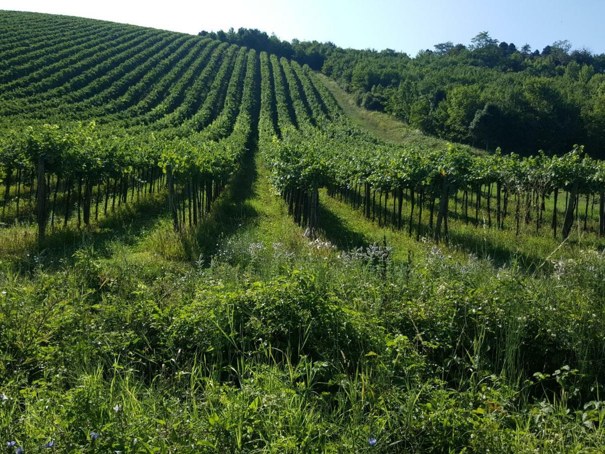 San Damiano al Colle La Terrazza Sui Vigneti-Rovescala Bed & Breakfast エクステリア 写真